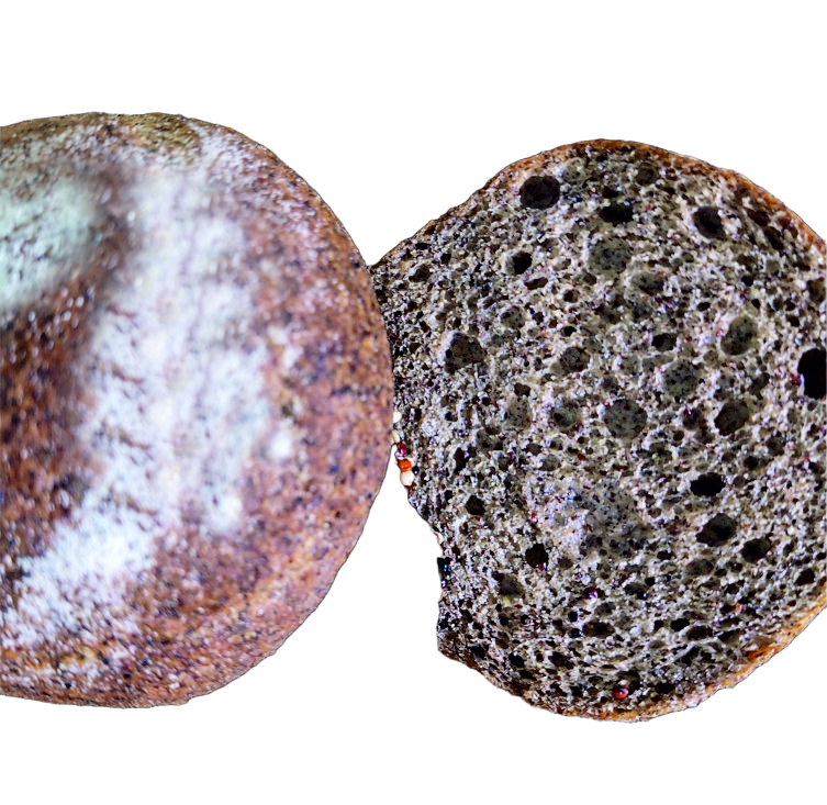 Tres mini panes Sol Andino de quinoas germinadas de Germina Natura, individuales